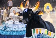 Festival de Parintins 2023: Boi Caprichoso se torna bicampeão