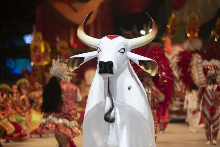Terceira noite de apresentação do Boi Bumbá Garantido durante o 56º Festival Folclórico de Parintins, realizado na Arena do Bumbódromo, em Parintins (AM) / BETE MARQUES/O FOTOGRÁFICO/ESTADÃO CONTEÚDO