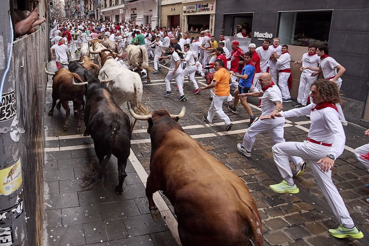 Bull-run of the San Fermin Festival in Spain's Pamplona