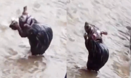 Vídeo flagra rato tomando banho de chuva e viraliza nas redes; entenda