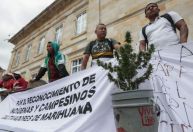 Agricultores de maconha querem que governo da Colômbia legalize droga recreativa