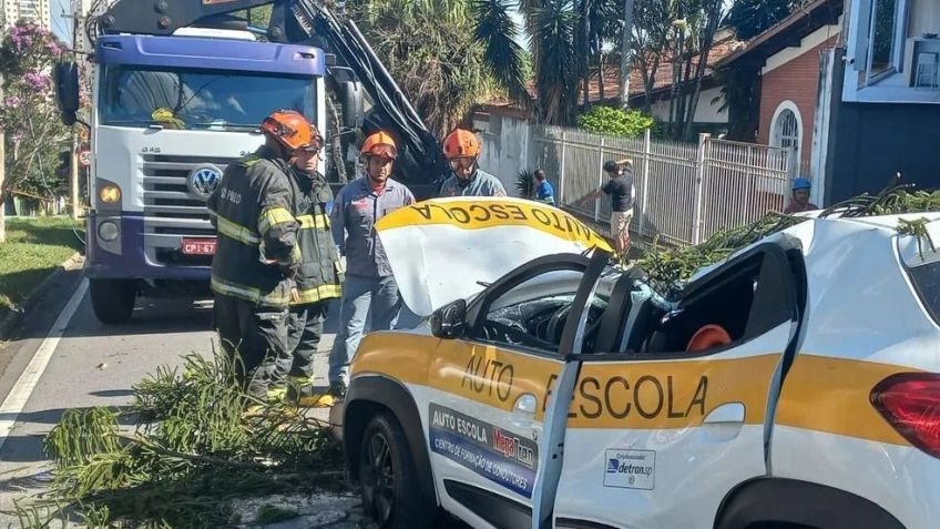 Árvore cai e atinge veículo em São José dos Campos / Defesa Civil/SP