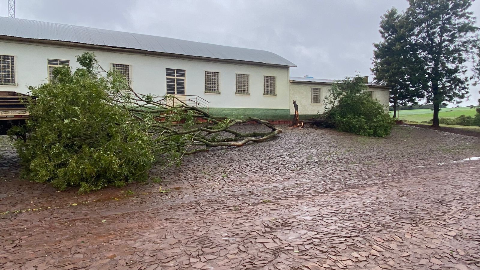 Árvores caíram devido ao ciclone na cidade de Cerro Largo (RS)