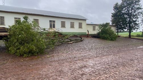 Árvores caíram devido ao ciclone na cidade de Cerro Largo (RS)