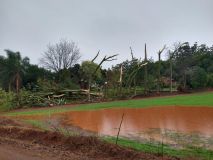 Árvores caíram após passagem do ciclone no município de Rolador (RS)