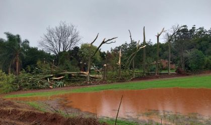 Árvores caíram após passagem do ciclone no município de Rolador (RS)
