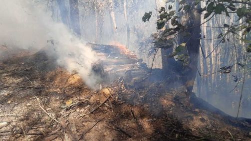 Incêndio de grandes proporções atinge Serra do Japi em Jundiaí