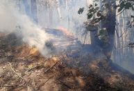Incêndio de grandes proporções atinge Serra do Japi em Jundiaí