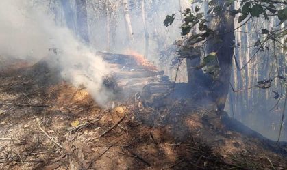 Incêndio de grandes proporções atinge Serra do Japi em Jundiaí