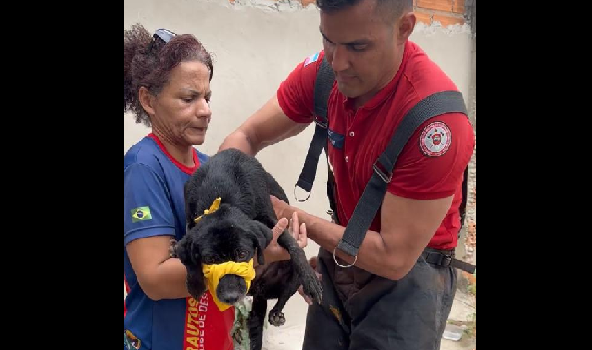 bombeiros