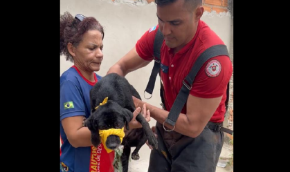 bombeiros