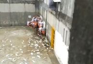 Presos agridem agentes penitenciários durante rebelião no Ceará; veja vídeo