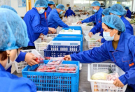 Economia da China cresce 6,3% no 2º trimestre em comparação a 2022