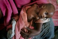 Fome na América Latina atinge 43,2 milhões de pessoas em 2022
