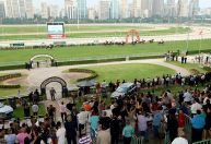TJSP suspende lei que proíbe corrida de cavalos no Jockey Clube da capital