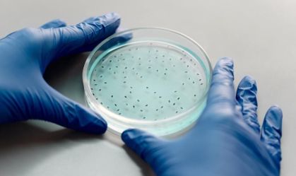 Infecção hospitalar: por que é difícil combater o problema de saúde pública