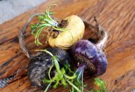 Maca peruana: para que serve e benefícios do alimento
