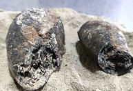Arqueólogos descobrem na Bahia pães mumificados datados da 2° Guerra Mundial