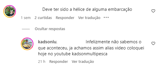 Pescador responde internauta sobre vídeo de jacaré sendo devorador por piranhas / Reprodução/Instagram