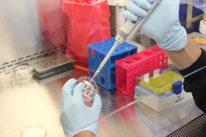 momento do processo de fertilização in vitro no laboratório