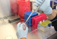 Fertilização in vitro é a opção para pacientes com câncer terem filhos