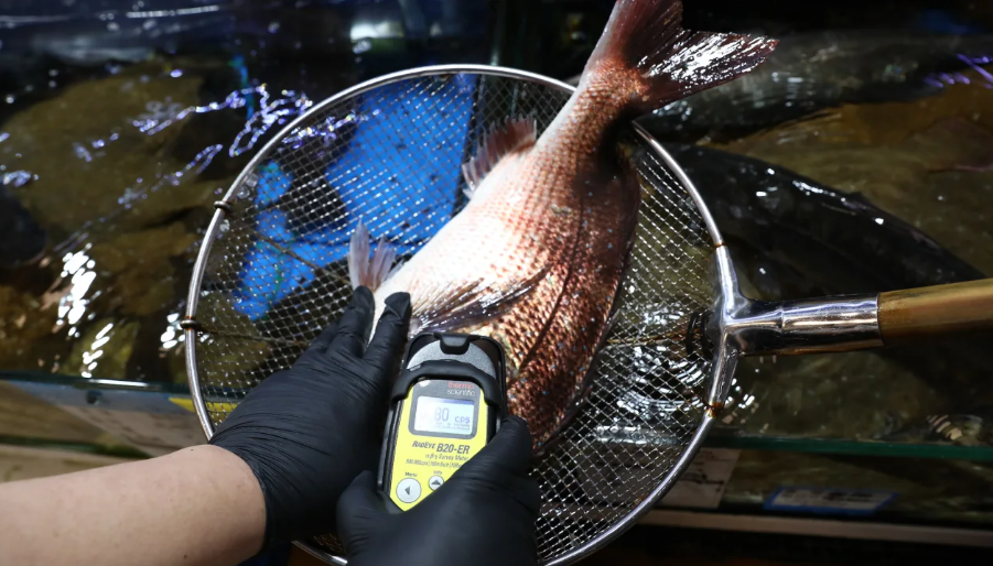 Um investigador da Federação Nacional de Cooperativas de Pesca verifica a radioatividade em dourada do Japão no mercado de peixes de Noryangjin em Seul em 5 de julho de 2023. / Chung Sung-Jun/Getty Images