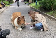 Japonês que gastou R$ 70 mil para se “transformar” em cachorro faz 1º passeio; veja