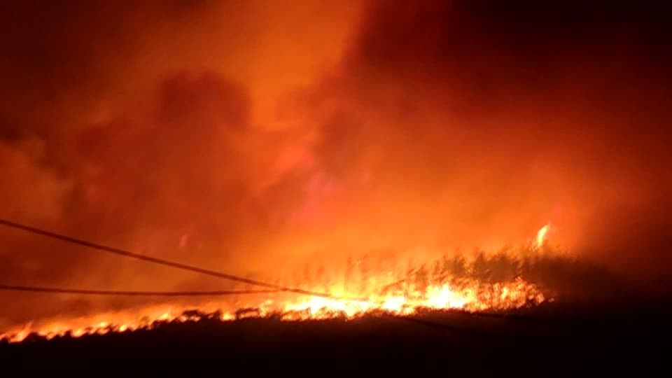 Incêndios atingem a Grécia durante onda de calor extremo. / Reuters