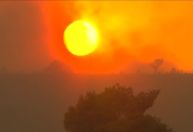 Ano mais quente da história leva o planeta à beira do abismo climático