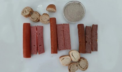De salsicha de mosca a pão com farinha de larva: cientistas da USP produzem alimentos feitos de insetos