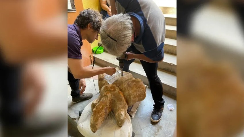 Ossos da nova espécie foram amostrados com brocas de núcleo para avaliar sua estrutura interna / Giovanni Bianucci