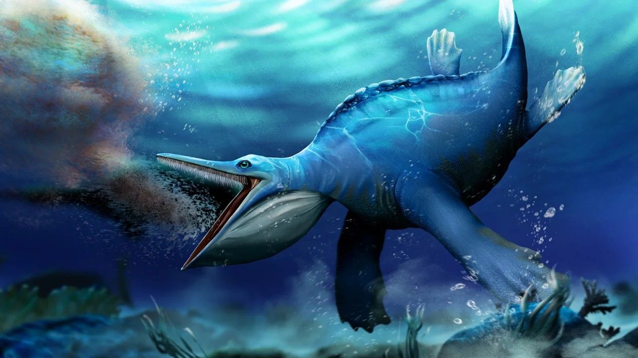 230808095358-01-ancient-marine-reptile-illo