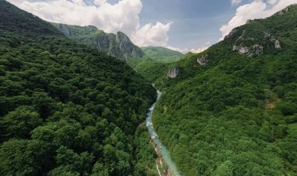 Cientistas lutam para salvar o "coração azul" da Europa