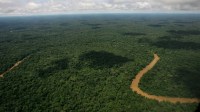 STF cobra plano da União para retirar invasores de terra indígena no Pará
