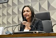 Relatora da CPMI busca caminho jurídico para sugerir indiciamento de Bolsonaro