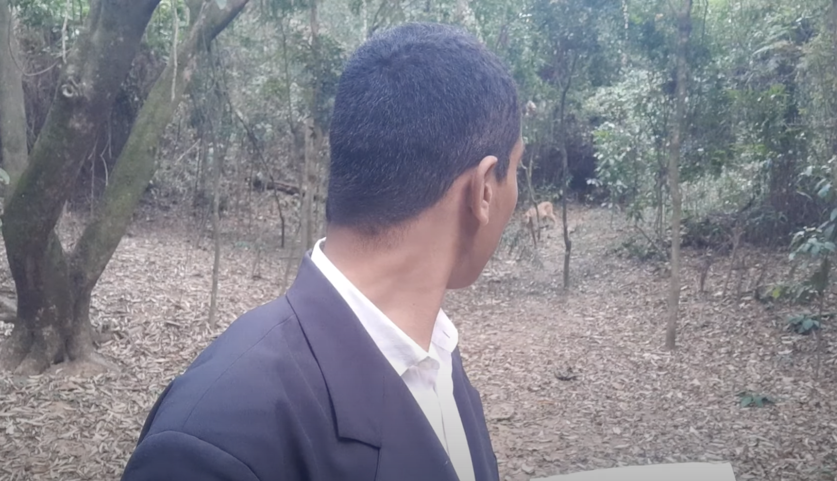 Onça-parda surpreende pastor
