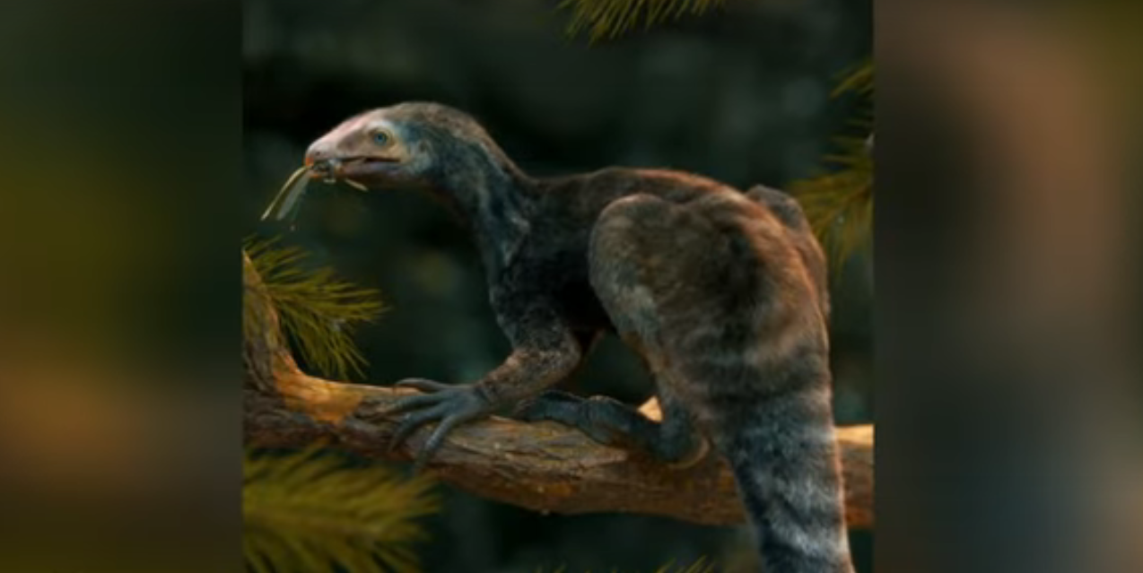 Venetoraptor viveu há mais de 230 milhões de anos