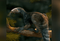 Conheça o Venetoraptor, ancestral dos pterossauros que teve fóssil descoberto no interior do RS