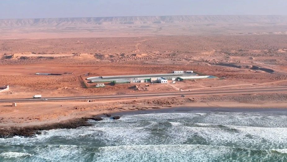 Local piloto do projeto de algas da startup Brilliant Planet em Akhfenir, no Marrocos / Cortesia: Brilliant Planet
