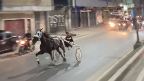 Polícia investiga vídeos virais de corrida de corridas de cavalos no Rio de Janeiro