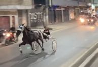 Polícia investiga vídeos virais de corrida de cavalos no Rio de Janeiro