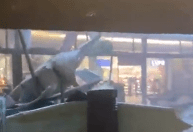 Tempestade provoca fortes ventos e destelha shopping no litoral de SP