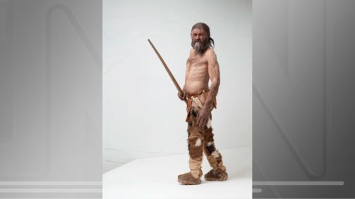 Reconstrução de Ötzi, o homem de gelo, é exibida no Museu de Arqueologia de Tirol do Sul, na Itália