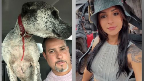 Caçadores morrem tentando resgatar cachorro preso em cisterna nos EUA
