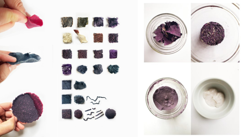 Imagem da direita mostra o processo de testes para identificar as cores resultantes; à esquerda, o processo de desidratação do repolho / Melissa Ortiz / Colores del Rio