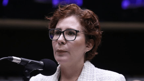 A deputada federal Carla Zambelli (PL-SP)