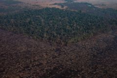 Fotografia aérea de seção da floresta amazônica desmatada por incêndios, na região de Candeias do Jamari, em Porto Velho, na Amazônia brasileira, em agosto de 2019.