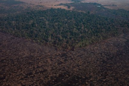 Fotografia aérea de seção da floresta amazônica desmatada por incêndios, na região de Candeias do Jamari, em Porto Velho, na Amazônia brasileira, em agosto de 2019.