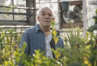 Mark Margolis, ator de “Breaking Bad” e “Better Call Saul”, morre aos 83 anos