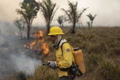 Grupo do Ibama combate foco de incêndio na cidade de Novo Progresso, no sul do Pará, na Amazônia brasileira, em agosto de 2020.